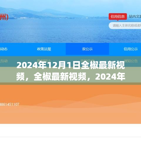 2024年視角，全椒最新視頻探討與解析