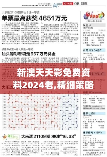 新澳天天彩免費資料2024老,精細策略定義探討_MP87.967-5
