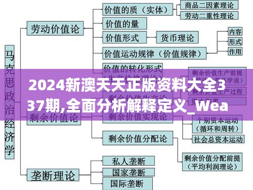 2024新澳天天正版資料大全337期,全面分析解釋定義_WearOS16.818-1