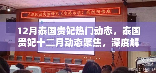 泰國貴妃十二月動態(tài)深度解析與觀點(diǎn)闡述