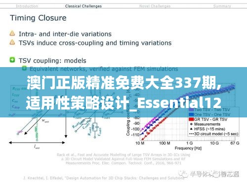 澳門正版精準免費大全337期,適用性策略設計_Essential12.469-2