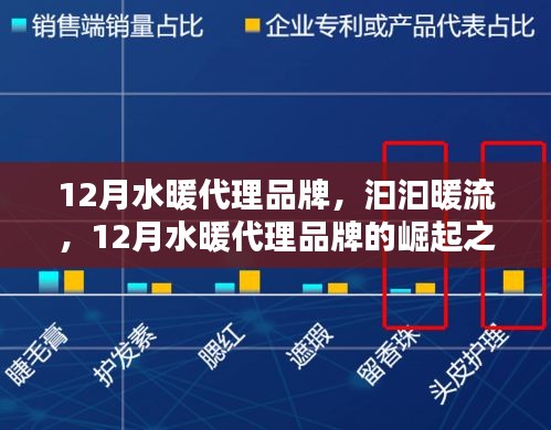 12月水暖代理品牌，汩汩暖流中的崛起之路