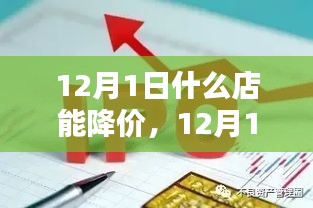 12月1日店鋪降價潮深度解析，產(chǎn)品特性、用戶體驗與競品對比