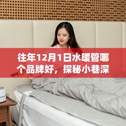往年12月1日水暖管哪個品牌好，探秘小巷深處的溫暖之源，揭秘往年12月1日水暖管品牌傳奇