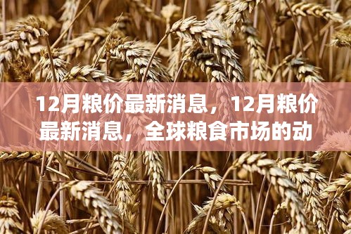 全球糧食市場最新動態(tài)，12月糧價分析與展望