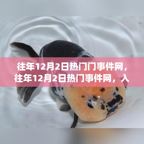 往年12月2日熱門事件網(wǎng)概覽，入門指南與操作教程