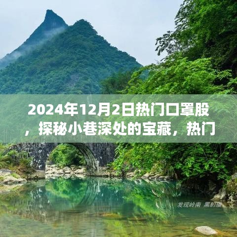 探秘口罩股背后的獨特故事，小巷深處的寶藏，熱門口罩行業(yè)揭秘（2024年12月2日）
