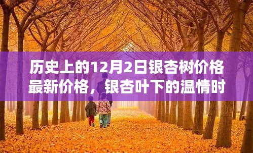 銀杏葉下的溫情時(shí)光，銀杏樹(shù)價(jià)格更新與溫馨故事回顧