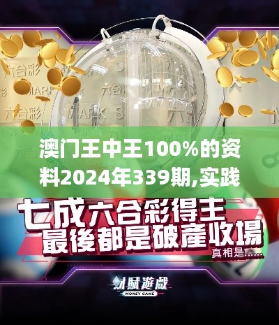 澳門王中王100%的資料2024年339期,實踐數(shù)據(jù)解釋定義_基礎(chǔ)版3.830-6