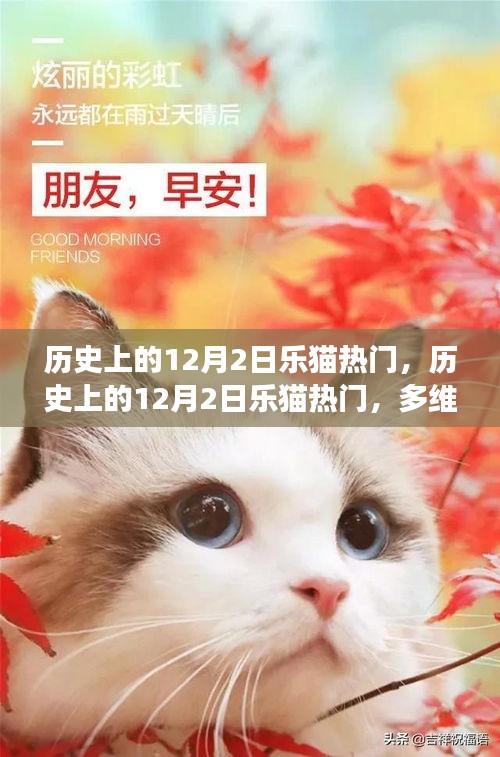 多維度視角下的觀點碰撞，歷史上的樂貓熱門事件回顧