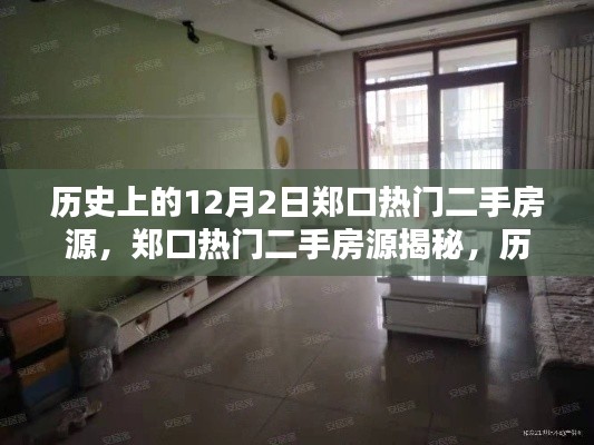歷史上的12月2日鄭口熱門房源揭秘，熱門二手房源概覽與深度探索