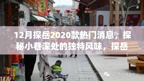 探岳2020款熱門消息揭秘，獨特風味與小巷特色小店之旅