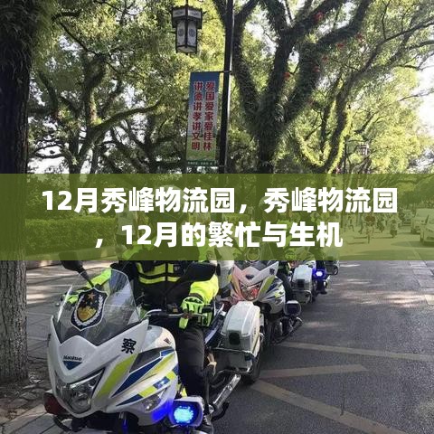 12月秀峰物流園的繁忙與生機
