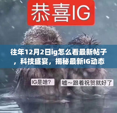 揭秘IG新功能，最新帖子瀏覽體驗(yàn)與震撼新功能登場(chǎng)！科技盛宴開啟！