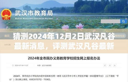 武漢凡谷最新消息解析，特性、體驗(yàn)、競(jìng)品對(duì)比與目標(biāo)用戶群體分析