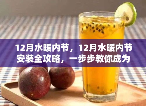 DIY達(dá)人必備，12月水暖內(nèi)節(jié)安裝全攻略，輕松掌握成為高手