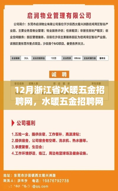浙江省水暖五金招聘網(wǎng)里的暖心故事與十二月奇遇
