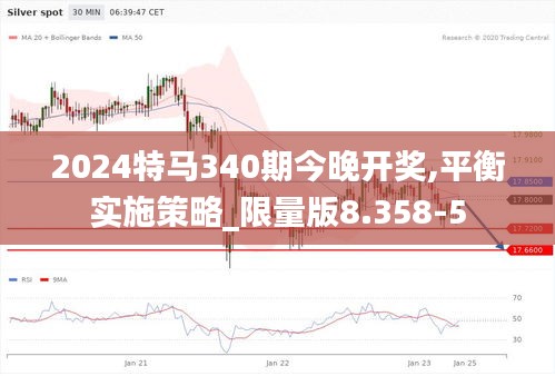 2024特馬340期今晚開獎,平衡實施策略_限量版8.358-5