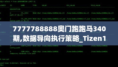 7777788888奧門跑跑馬340期,數(shù)據(jù)導向執(zhí)行策略_Tizen130.964-9
