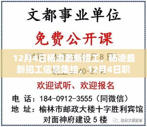 楊凌最新招工信息集結(jié)，12月4日職位大放送，尋找你的理想工作！