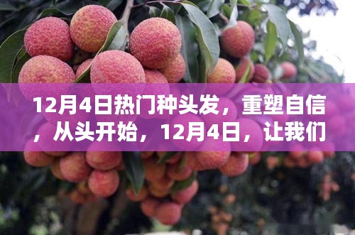 重塑自信，從頭開始，12月4日種發(fā)行動(dòng)，種下希望的頭發(fā)種子