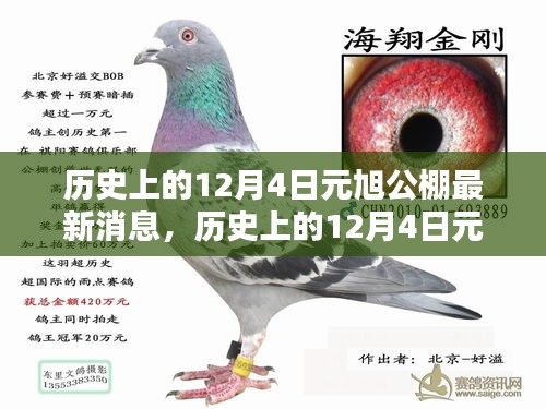 歷史上的12月4日元旭公棚最新動態(tài)及其深遠(yuǎn)影響的深度分析與觀點(diǎn)闡述