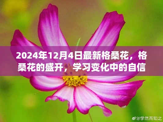 格?；ǖ氖㈤_之旅，自信與成就的蛻變之路（2024年12月4日最新資訊）