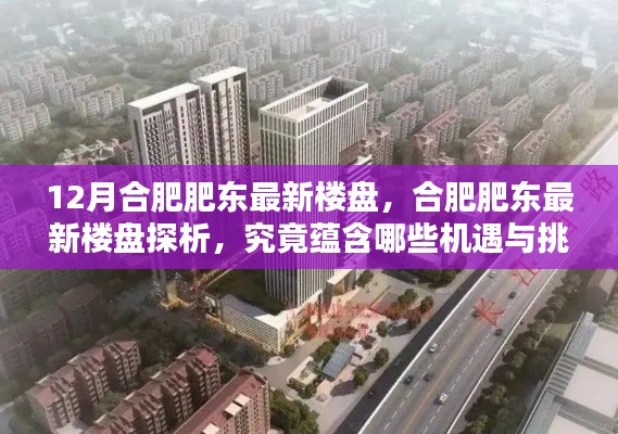 合肥肥東最新樓盤探析，機遇與挑戰(zhàn)揭秘
