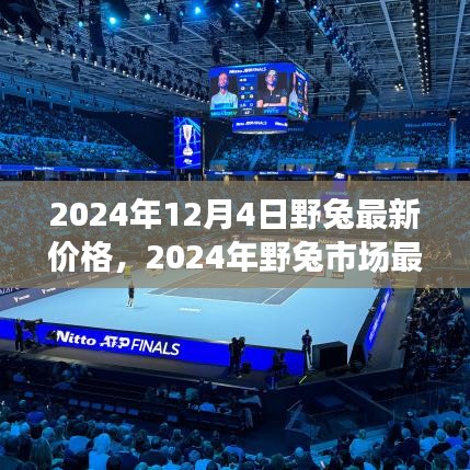 2024年野兔市場最新價格探析，觀點闡述與市場洞察