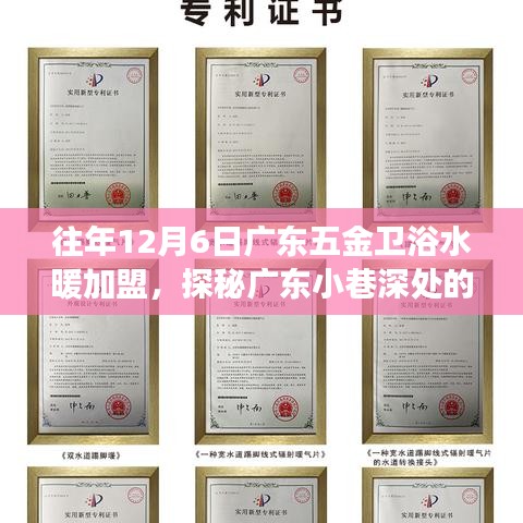 探秘廣東五金衛(wèi)浴水暖加盟傳奇，隱藏版特色小店的非凡故事