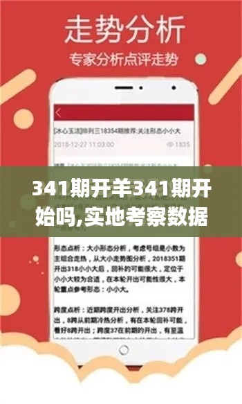 341期開(kāi)羊341期開(kāi)始嗎,實(shí)地考察數(shù)據(jù)設(shè)計(jì)_安卓版7.510