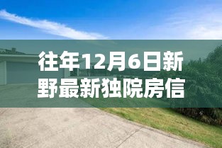 新野獨(dú)院房最新信息，溫馨家園的十二月奇遇記