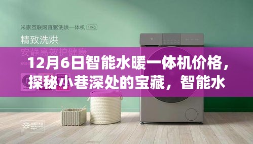 探秘小巷深處的寶藏，智能水暖一體機的驚喜價格之旅！