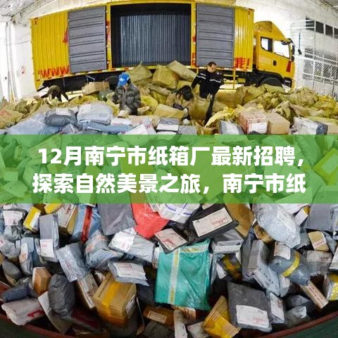 南寧市紙箱廠12月最新招聘啟事，探索自然美景之旅，尋找內(nèi)心的寧?kù)o與平和之旅