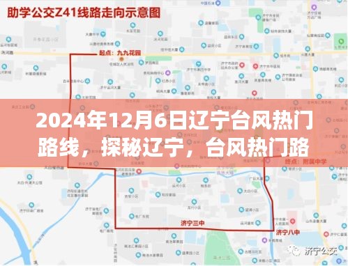 遼寧臺風熱門路線下的美食探秘之旅，隱秘小巷的味蕾盛宴（2024年12月6日）