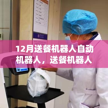 送餐機器人的暖心日常，機器與情感的奇妙交織十二月回顧