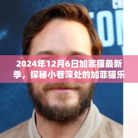 2024年12月6日加菲貓最新季，探秘小巷深處的加菲貓樂園，2024年12月6日全新加菲貓季節(jié)來(lái)襲！