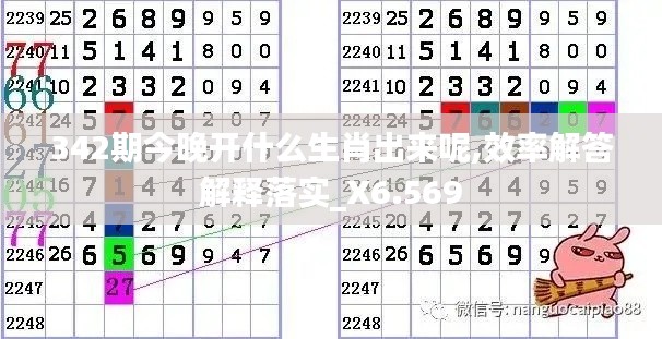 342期今晚開什么生肖出來(lái)呢,效率解答解釋落實(shí)_X6.569