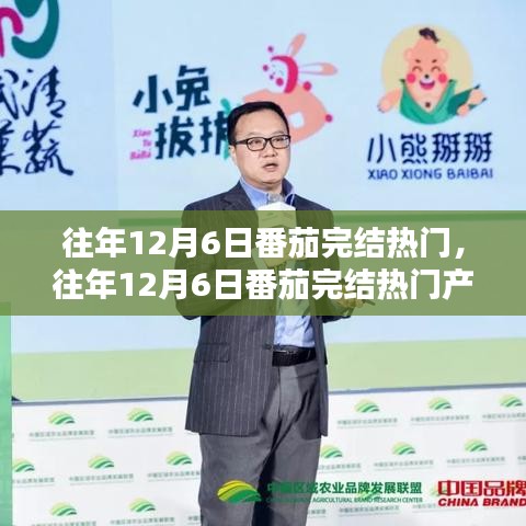 往年12月6日番茄完結(jié)熱門產(chǎn)品深度解析，特性、體驗(yàn)、競品對(duì)比及用戶群體全方位分析評(píng)測