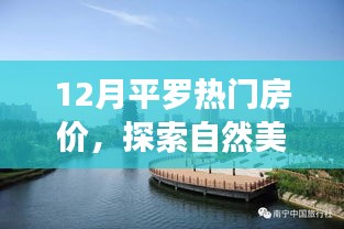 揭秘平羅熱門(mén)房?jī)r(jià)與探索自然美景之旅，寧?kù)o港灣的探尋