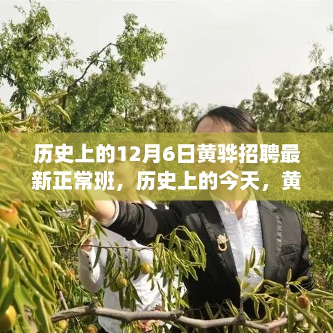 歷史上的今天，黃驊招聘正常班啟程探尋自然美景的心靈之旅
