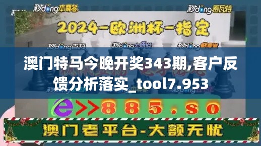 澳門(mén)特馬今晚開(kāi)獎(jiǎng)343期,客戶反饋分析落實(shí)_tool7.953