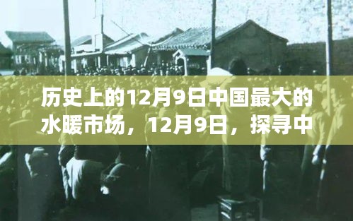 自然秘境