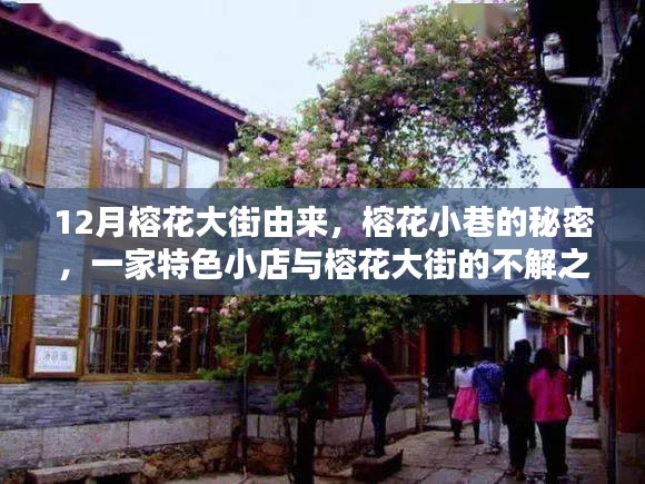 榕花大街與小巷的秘密，一家特色小店的故事