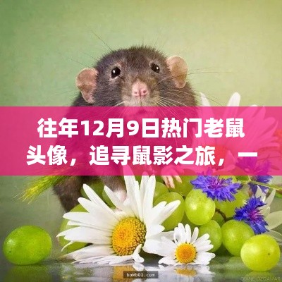 追尋鼠影之旅，與自然美景的邂逅，歷年12月9日熱門老鼠頭像回顧