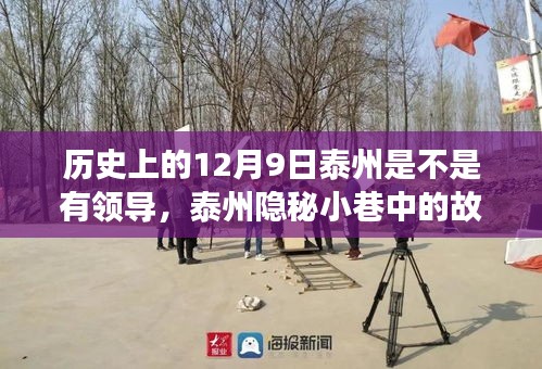 歷史上的泰州，隱秘小巷故事與美食交匯點的領(lǐng)導風采——12月9日篇
