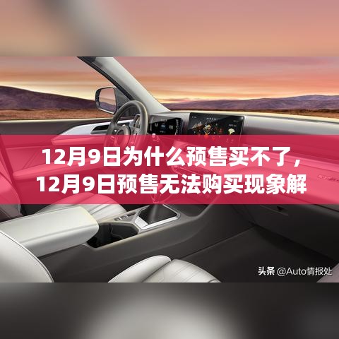 12月9日預(yù)售無法購買現(xiàn)象解析，原因、影響與探討