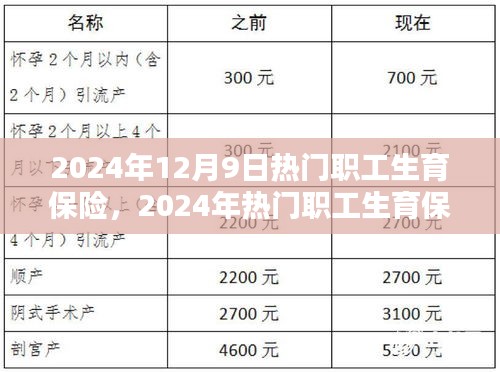 2024年職工生育保險申請全攻略，入門到精通