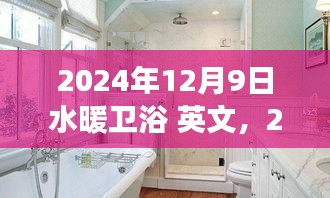 2024年水暖衛(wèi)浴行業(yè)展望，創(chuàng)新與發(fā)展的融合，行業(yè)趨勢及英文市場分析