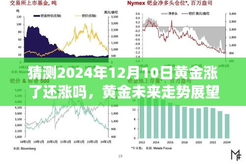 聚焦未來黃金走勢，2024年黃金價格預(yù)測及黃金走勢展望